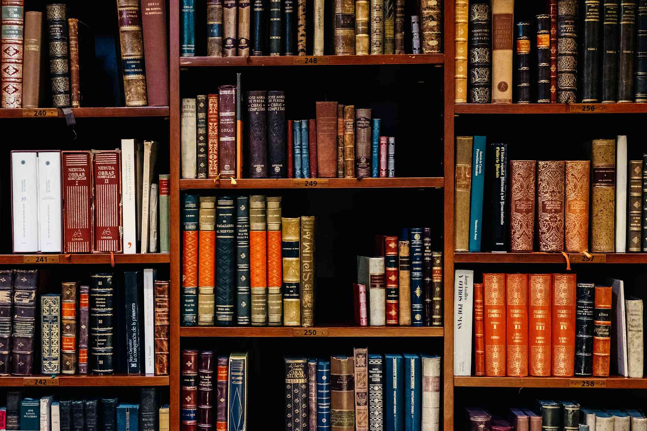Startup Legal Services